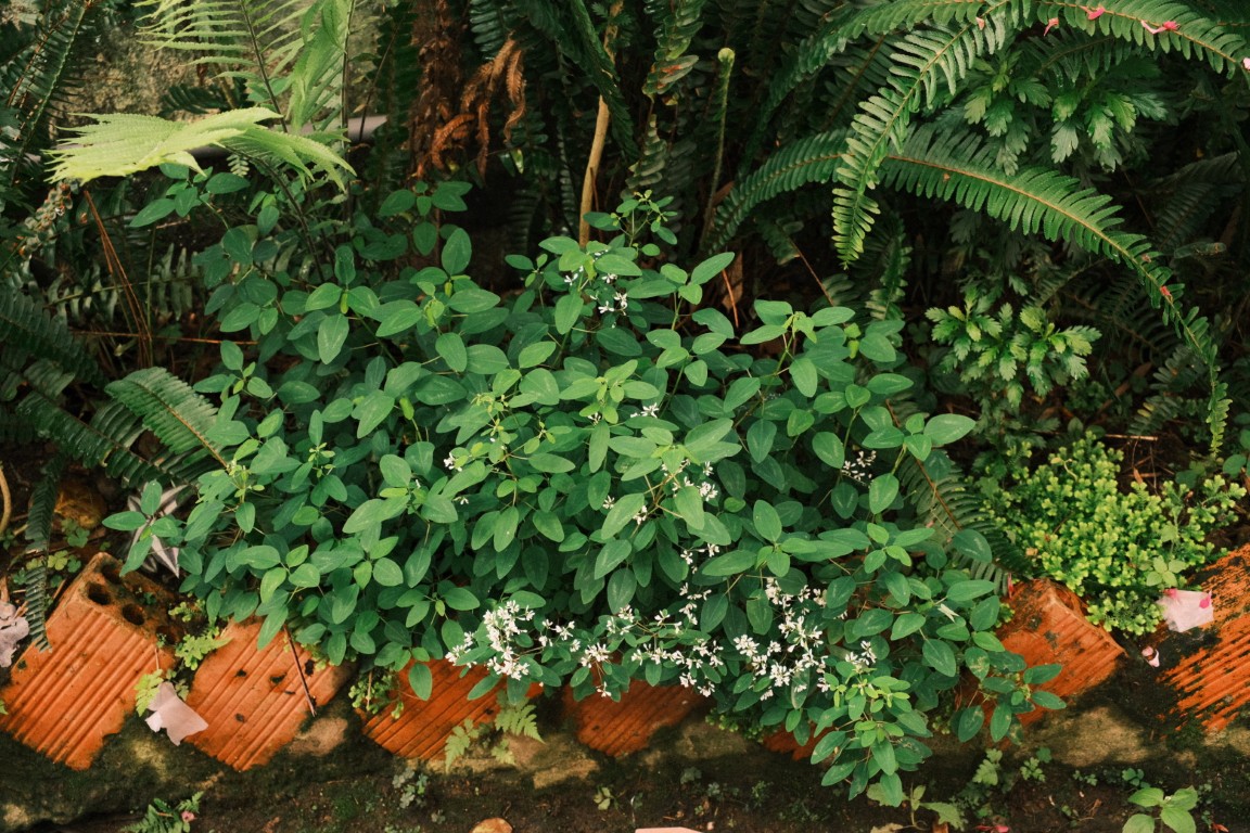 Onboarding flow mock